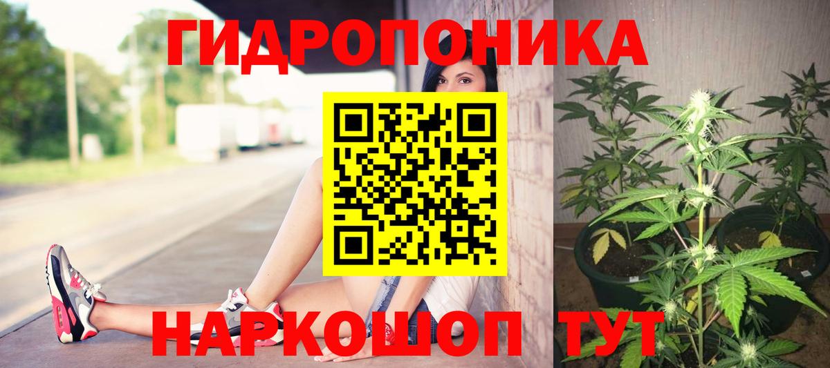Конопля White Widow Краснодар